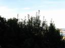 sta_5270.jpg