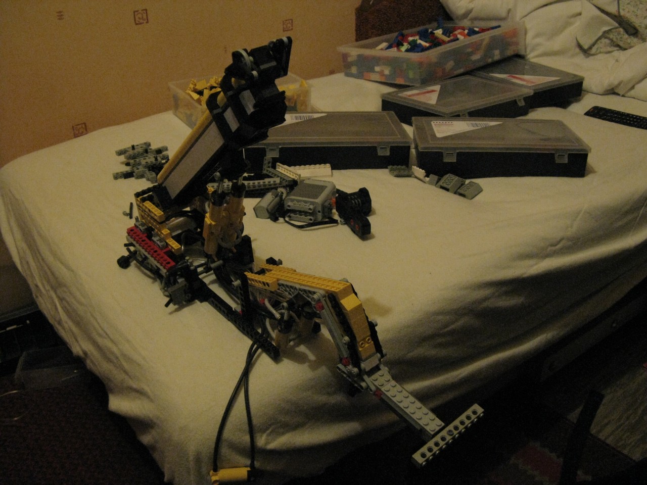 img_6262.jpg