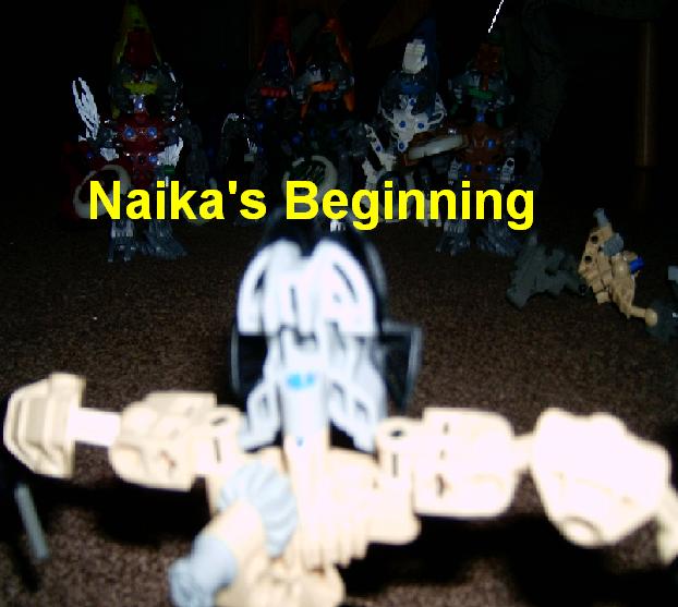 naikastartpic.jpg
