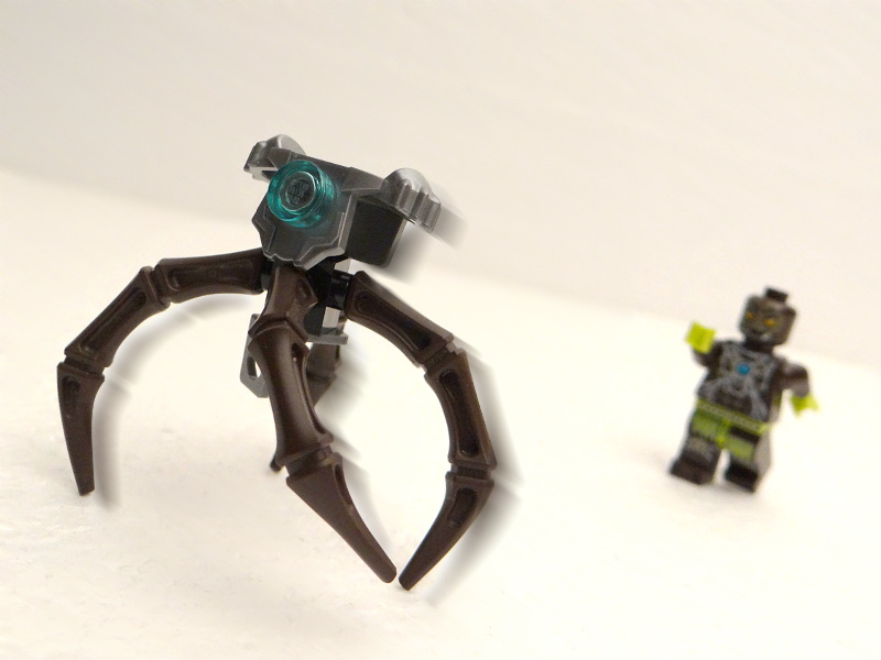 096_1.jpg