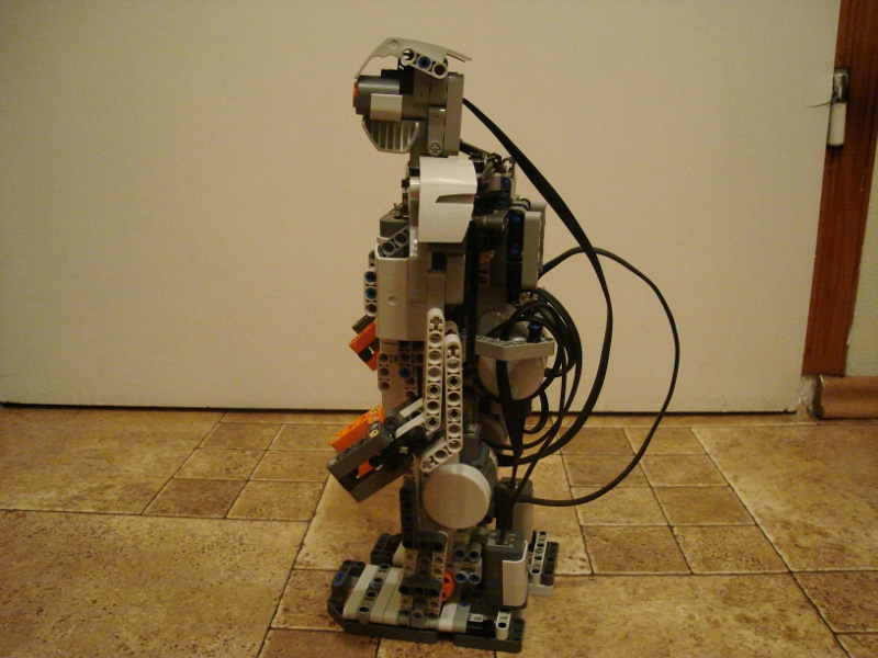 100.jpg