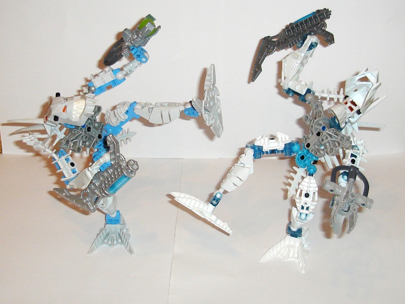 46.jpg