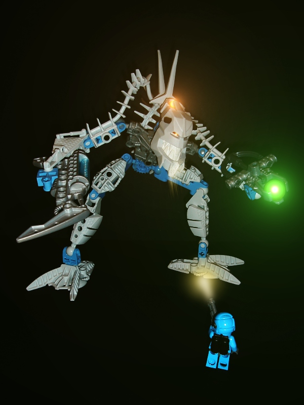 63.jpg