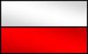 polish