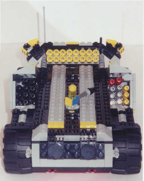 aav13.jpg