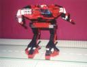 couger1.jpg