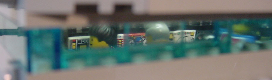 dsc00481.jpg
