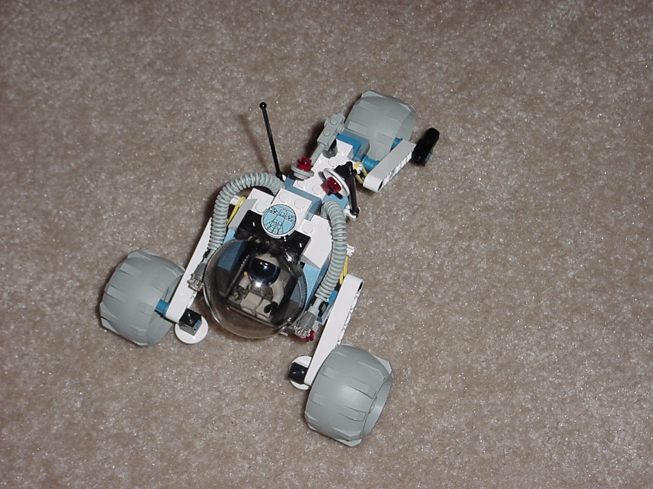 dsc00019.jpg