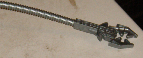 isteelrattail-mouth.jpg