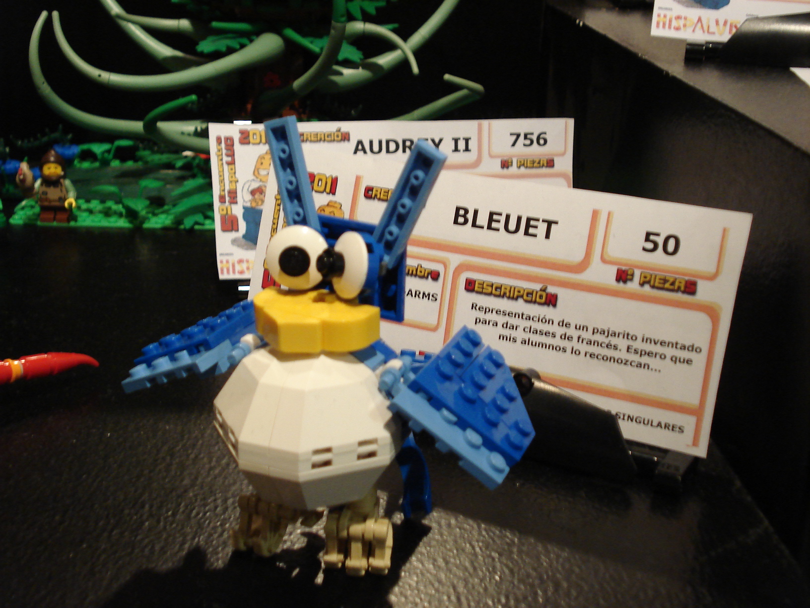 540-bleuet.jpg