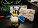 540-bleuet.jpg