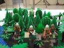 dsc00586.jpg