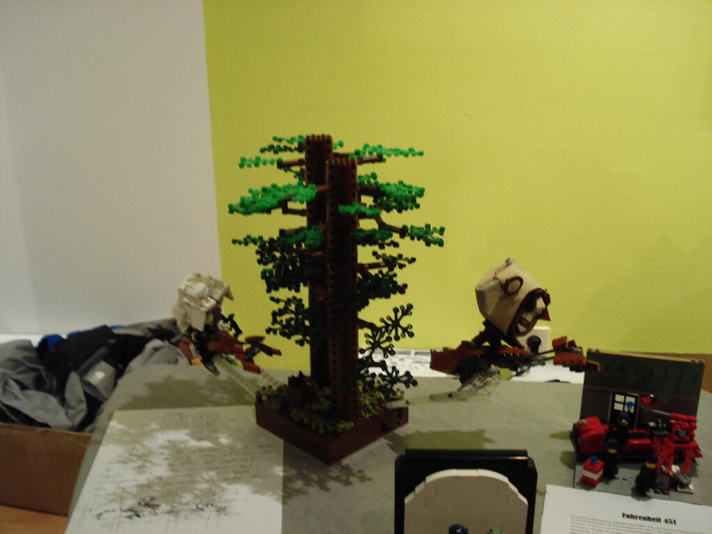 hle2013dsc01900.jpg
