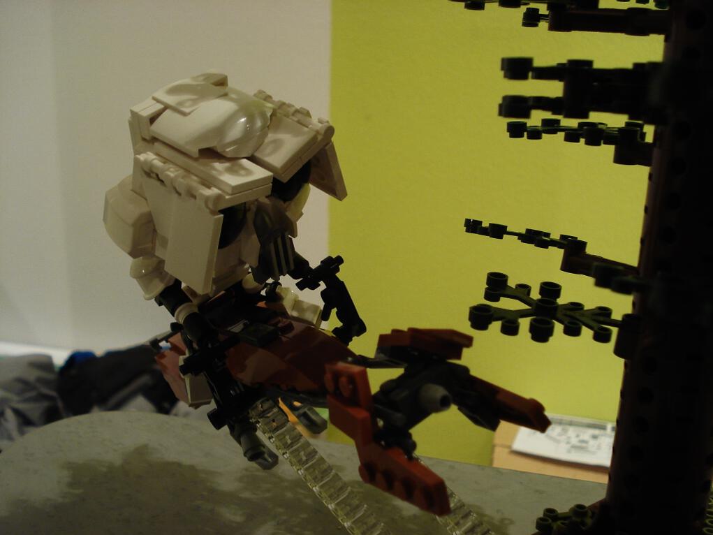 hle2013dsc01913.jpg