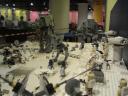 hle2013dsc01360.jpg