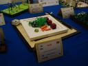 hle2013dsc01669.jpg