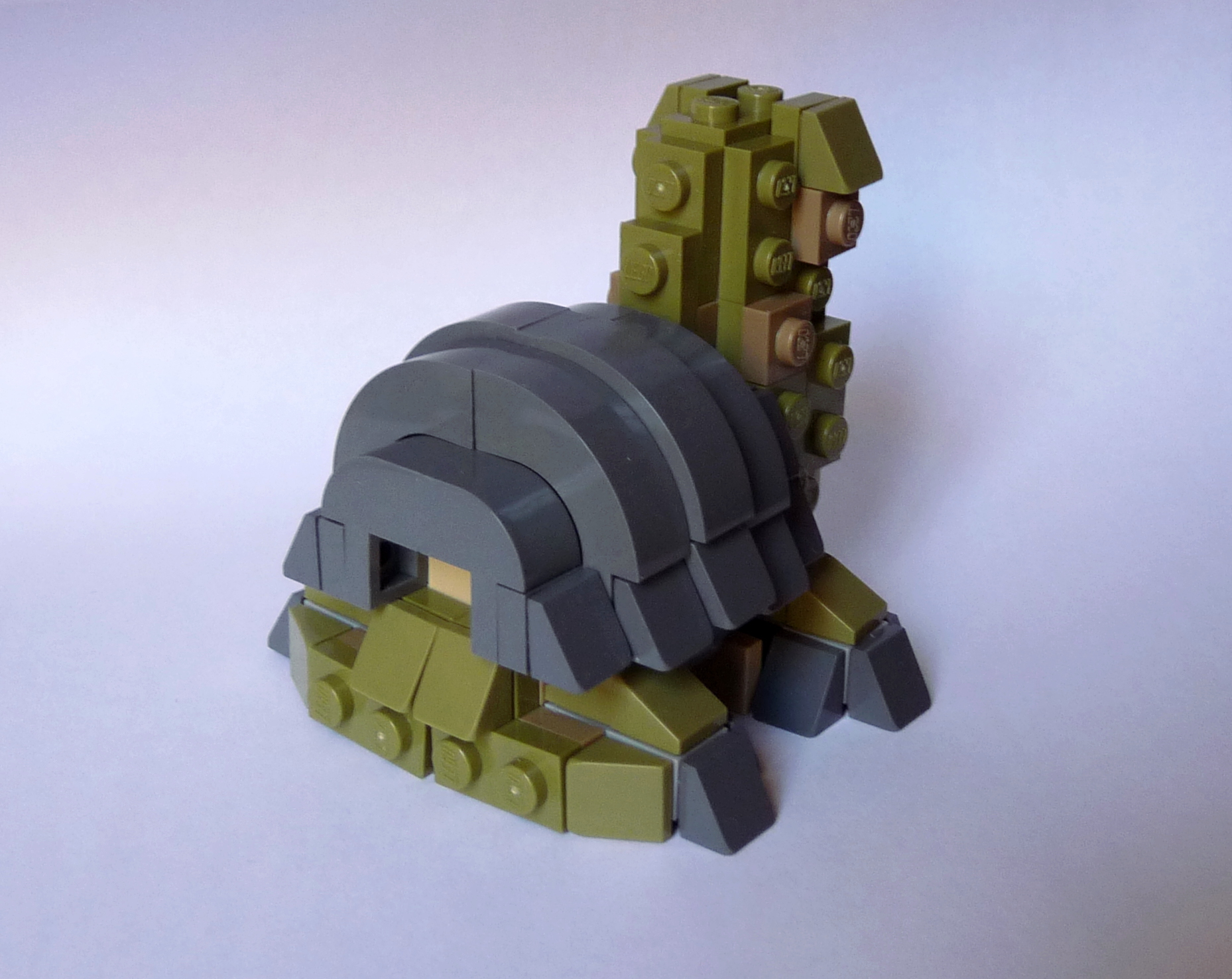 turtle_3.jpg
