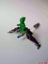 p1010129_c.gif