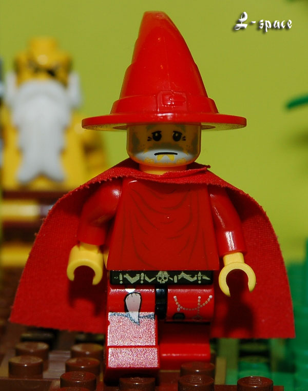 08_rincewind.jpg