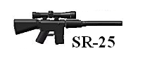 sr-25.bmp
