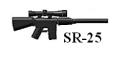 sr-25.bmp