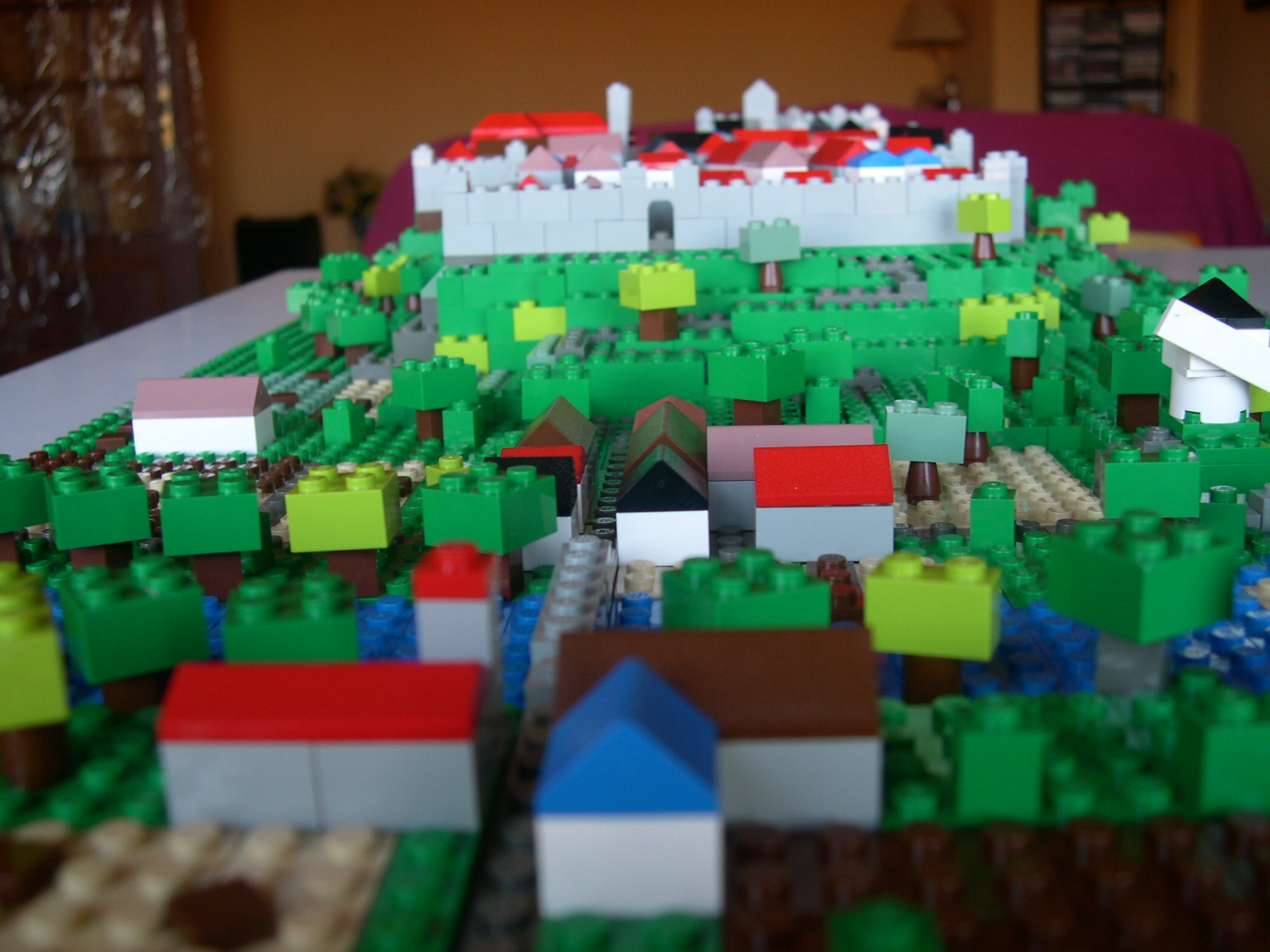 dscn5728.jpg
