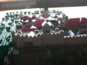 dscn5739.jpg