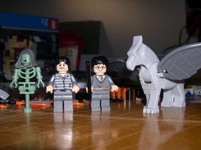 dscn6450.jpg