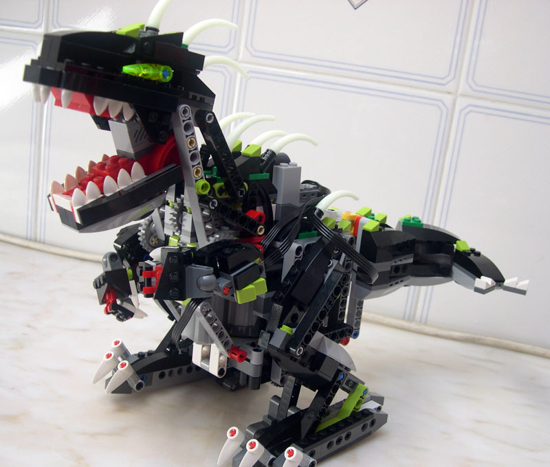 4958024.jpg