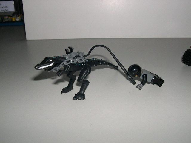 dscn9995.jpg