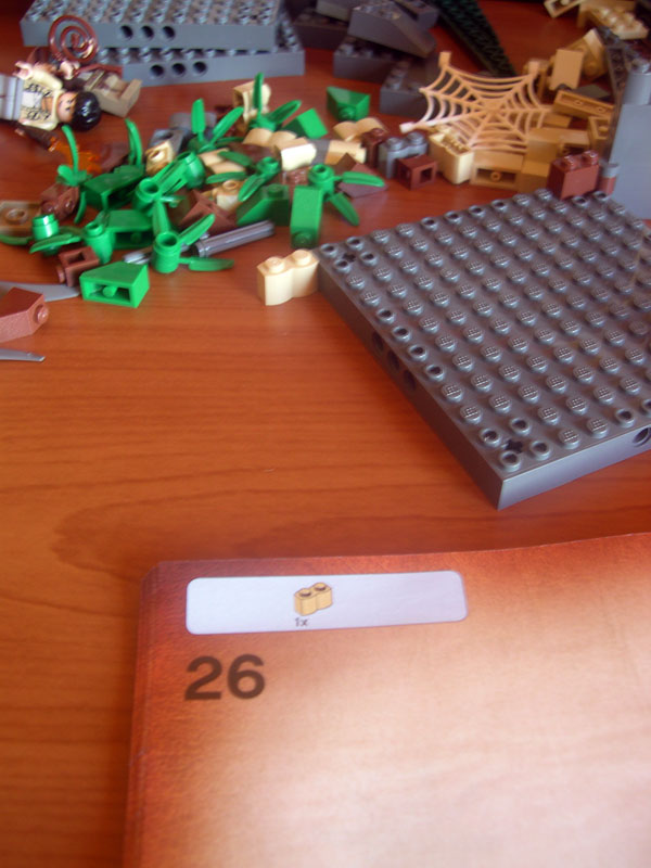 7623031.jpg