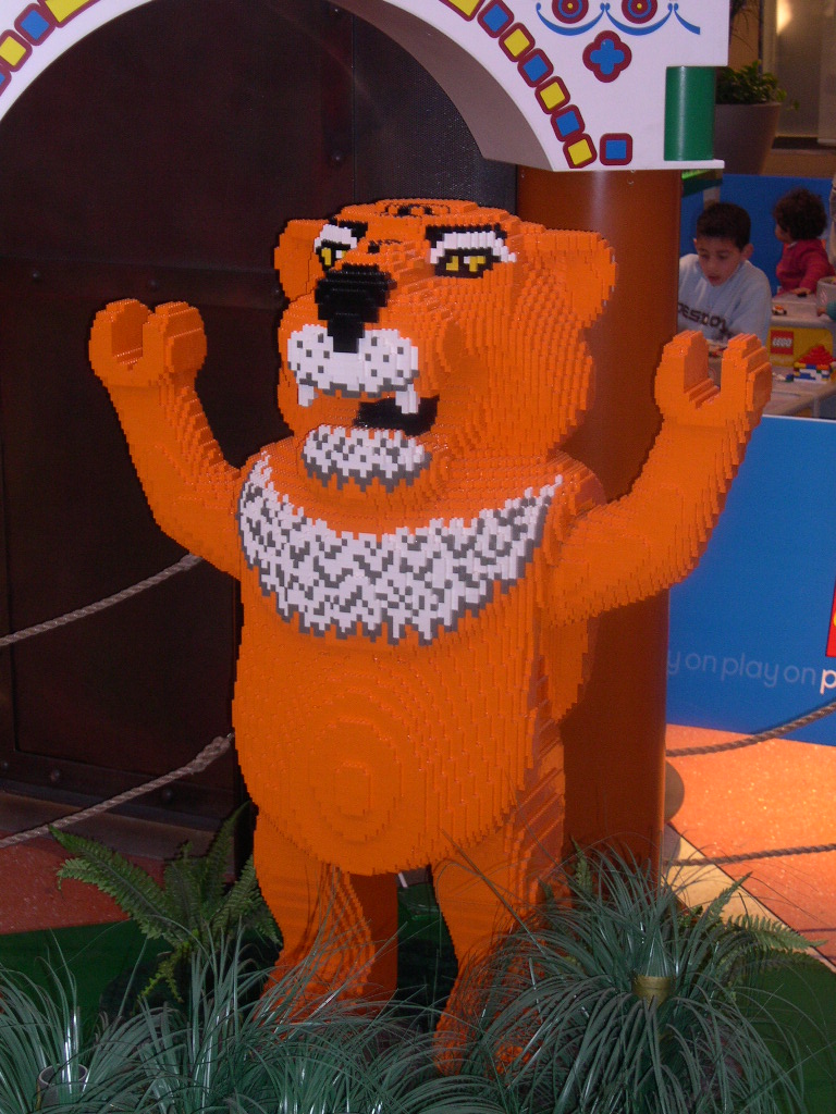 dscn2571.jpg