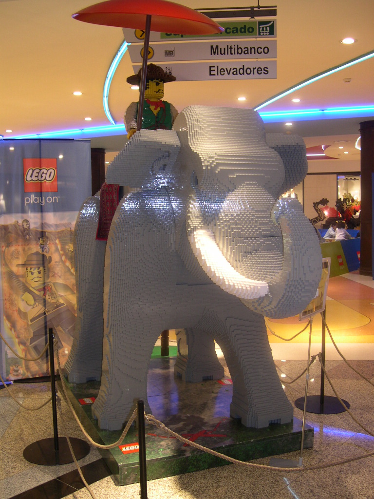 dscn2574.jpg