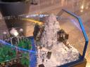 dscn2562.jpg