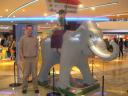 dscn2576.jpg
