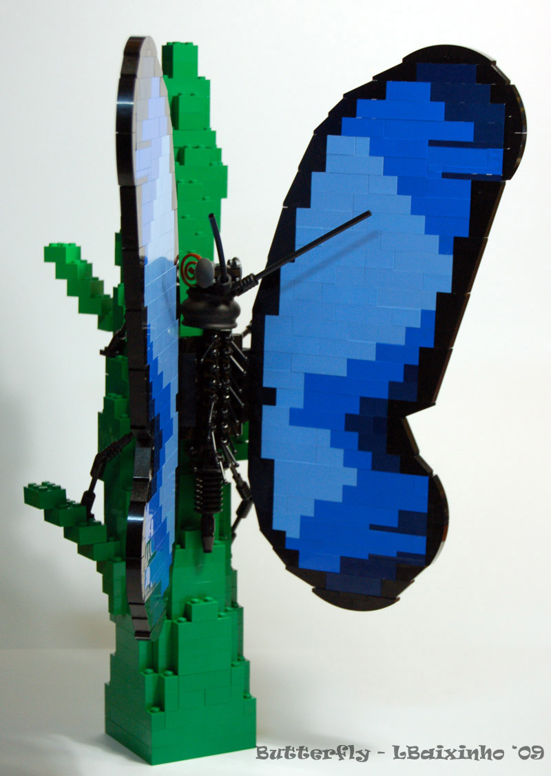 butterfly03.jpg