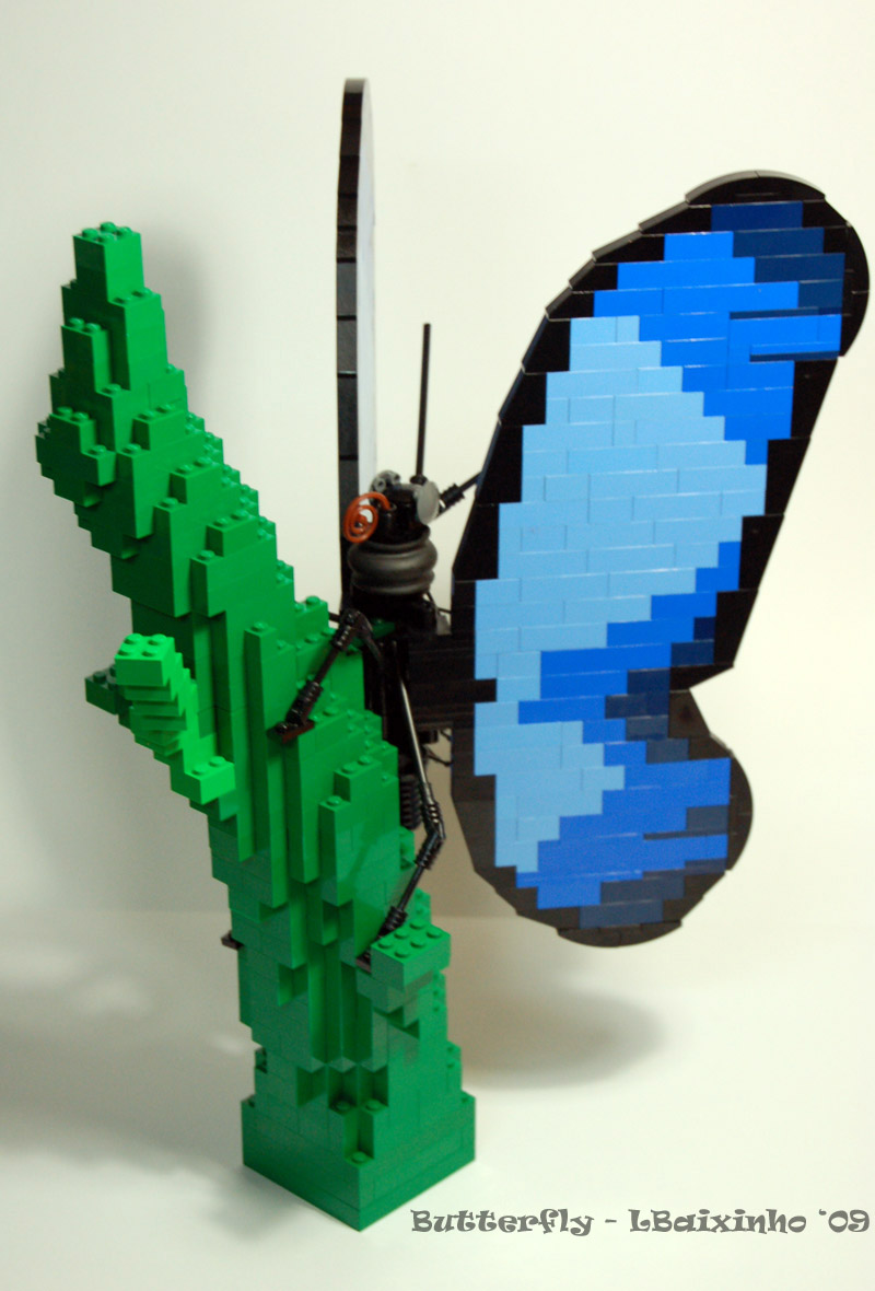 butterfly04.jpg