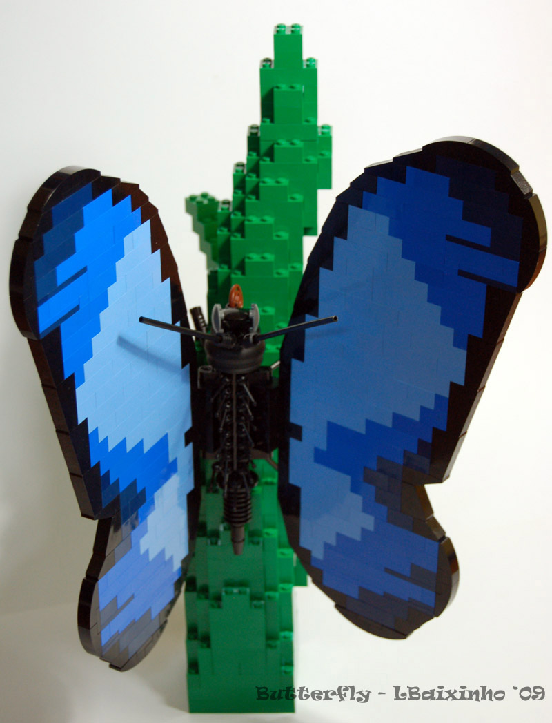 butterfly07.jpg