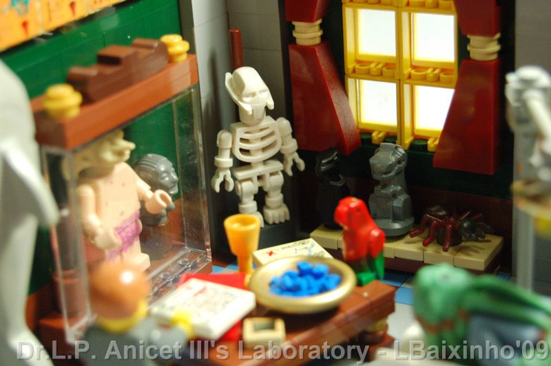 anicetiiilab13.jpg
