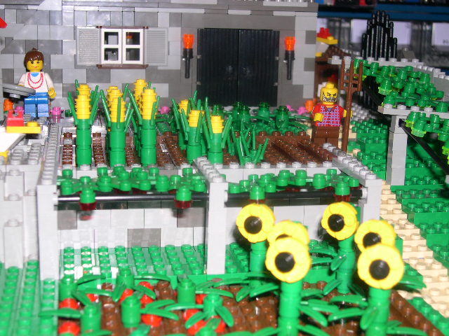 dscn2755.jpg