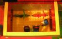dscn0779.jpg