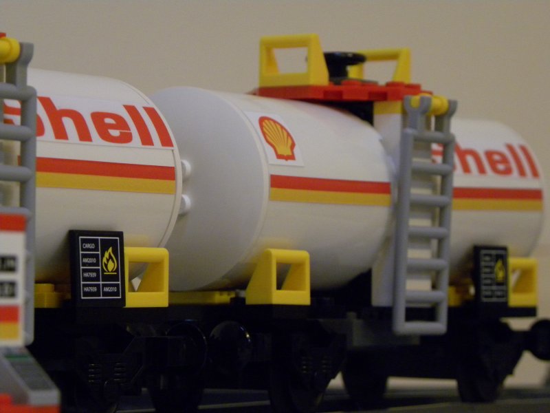 shell-020.jpg