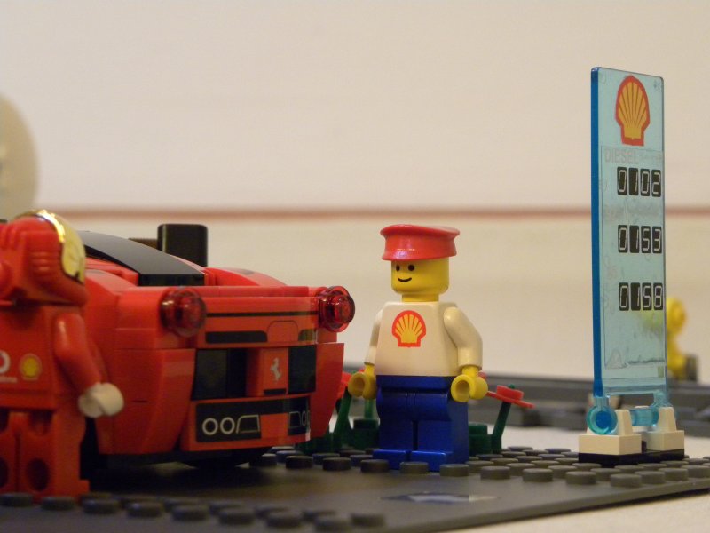 shell-026.jpg