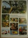 yellowfolder_017.jpg