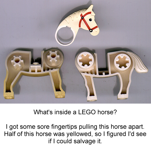 horse.jpg