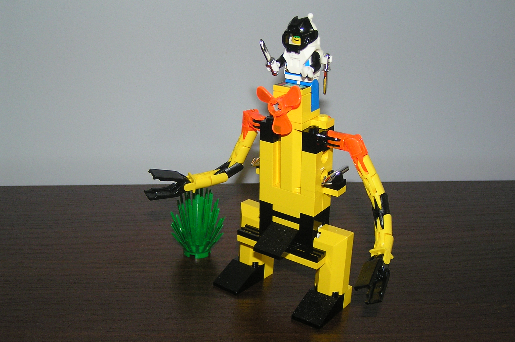 6145_alt_03.jpg