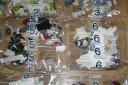 75021_bricks_6.jpg