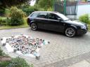 lego_audi_s4.jpg