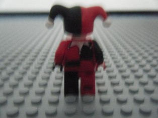 dscf0835.jpg