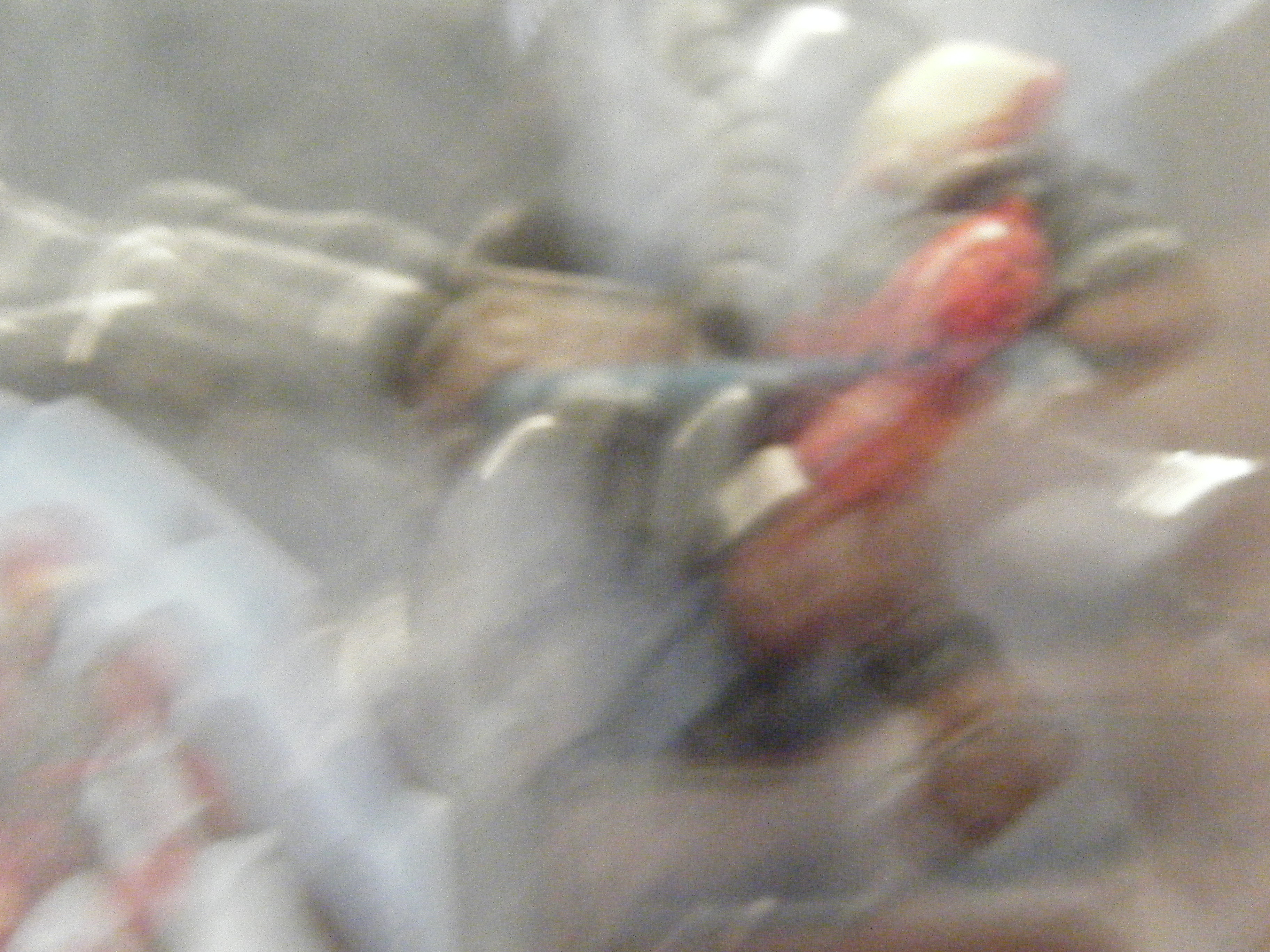 halo_red_combat_unit_015.jpg